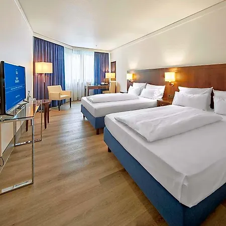 Western 4* טרייר
